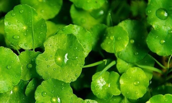 L’Oreal está comprometida con el packaging sostenible| L'Oréal Paris